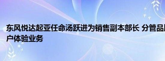 东风悦达起亚任命汤跃进为销售副本部长 分管品牌营销与客户体验业务