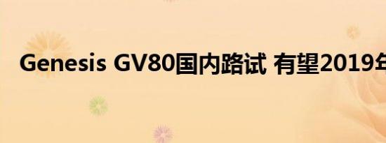 Genesis GV80国内路试 有望2019年推出