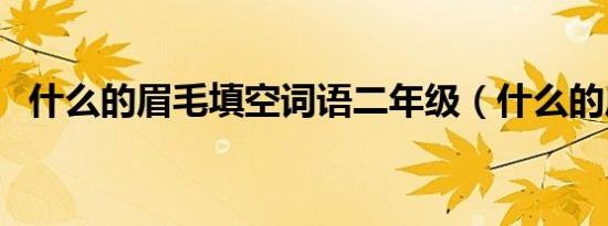 什么的眉毛填空词语二年级（什么的眉毛）