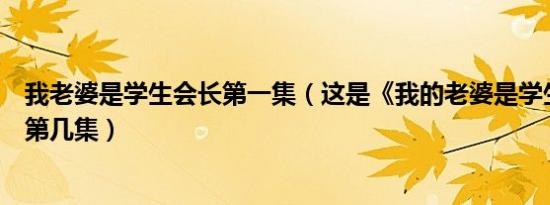 我老婆是学生会长第一集（这是《我的老婆是学生会长》的第几集）