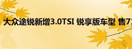 大众途锐新增3.0TSI 锐享版车型 售71.88万