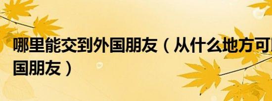 哪里能交到外国朋友（从什么地方可以结交外国朋友）