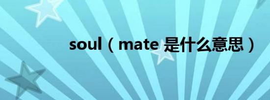 soul（mate 是什么意思）