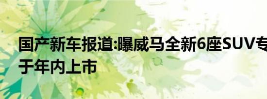 国产新车报道:曝威马全新6座SUV专利图 将于年内上市