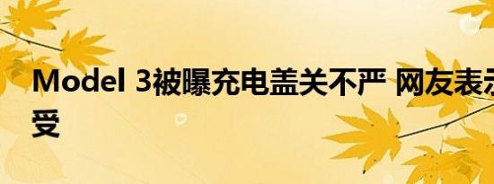 Model 3被曝充电盖关不严 网友表示看着难受