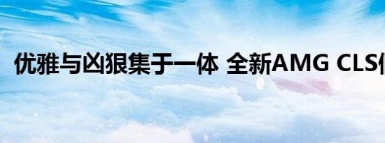 优雅与凶狠集于一体 全新AMG CLS假想图