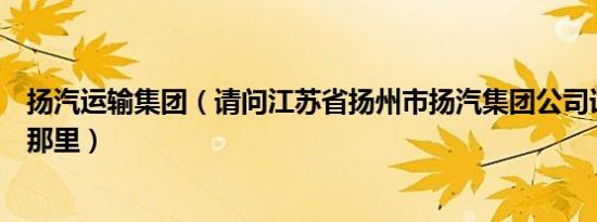 扬汽运输集团（请问江苏省扬州市扬汽集团公司详细地址在那里）