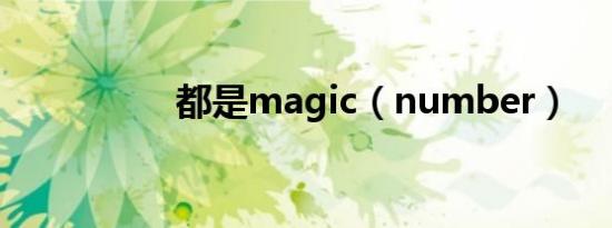 都是magic（number）