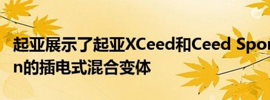 起亚展示了起亚XCeed和Ceed Sportswagon的插电式混合变体