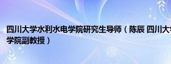 四川大学水利水电学院研究生导师（陈辰 四川大学水利水电学院副教授）