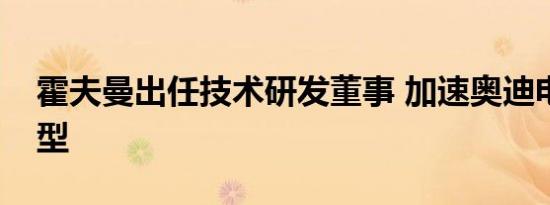 霍夫曼出任技术研发董事 加速奥迪电动化转型