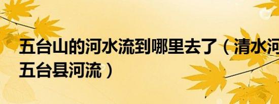 五台山的河水流到哪里去了（清水河 山西省五台县河流）