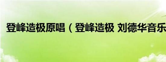 登峰造极原唱（登峰造极 刘德华音乐专辑）