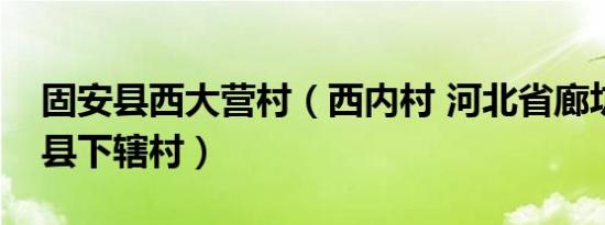 固安县西大营村（西内村 河北省廊坊市固安县下辖村）