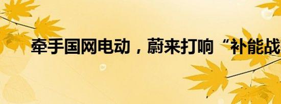 牵手国网电动，蔚来打响“补能战役”