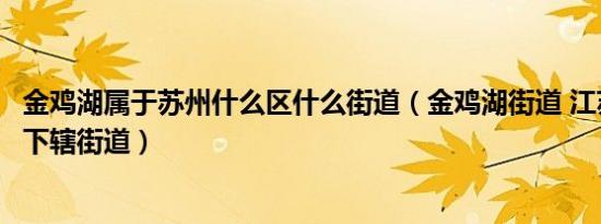 金鸡湖属于苏州什么区什么街道（金鸡湖街道 江苏省苏州市下辖街道）