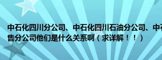 中石化四川分公司、中石化四川石油分公司、中石化四川销售分公司他们是什么关系啊（求详解！！）