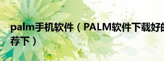 palm手机软件（PALM软件下载好的网站推荐下）