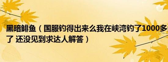 黑暗鲱鱼（国服钓得出来么我在峡湾钓了1000多条利齿青鱼了 还没见到求达人解答）