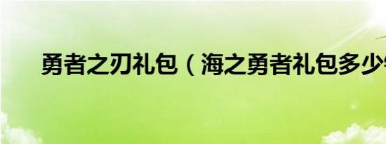 勇者之刃礼包（海之勇者礼包多少钱）