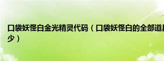 口袋妖怪白金光精灵代码（口袋妖怪白的全部道具代码是多少）