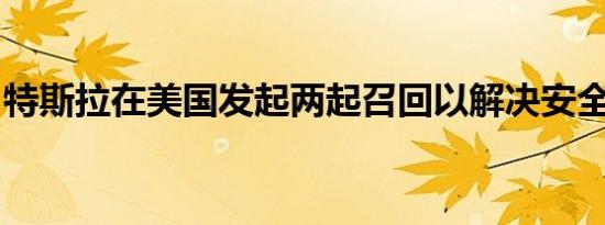 特斯拉在美国发起两起召回以解决安全带故障