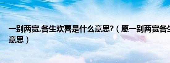 一别两宽,各生欢喜是什么意思?（愿一别两宽各生欢喜什么意思）