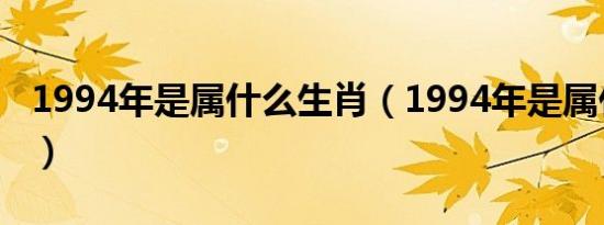 1994年是属什么生肖（1994年是属什么的啊）