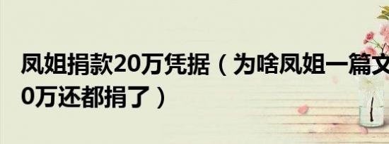 凤姐捐款20万凭据（为啥凤姐一篇文章赚两20万还都捐了）