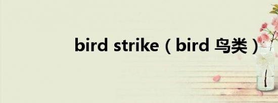 bird strike（bird 鸟类）