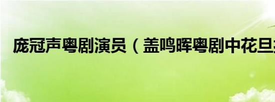 庞冠声粤剧演员（盖鸣晖粤剧中花旦扮相）