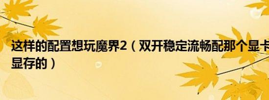 这样的配置想玩魔界2（双开稳定流畅配那个显卡最好 要1G显存的）