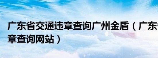 广东省交通违章查询广州金盾（广东省交通违章查询网站）