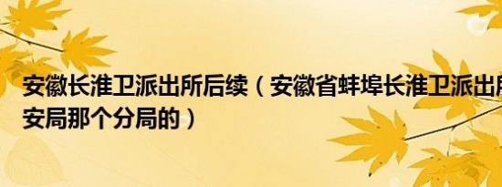 安徽长淮卫派出所后续（安徽省蚌埠长淮卫派出所是蚌埠公安局那个分局的）