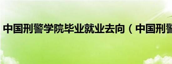 中国刑警学院毕业就业去向（中国刑警学院）