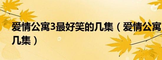 爱情公寓3最好笑的几集（爱情公寓3搞笑的几集）