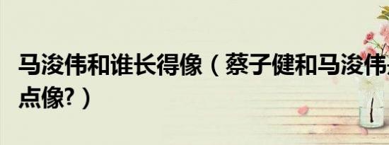 马浚伟和谁长得像（蔡子健和马浚伟是不是有点像?）