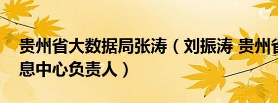 贵州省大数据局张涛（刘振涛 贵州省科技信息中心负责人）