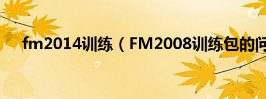 fm2014训练（FM2008训练包的问题）