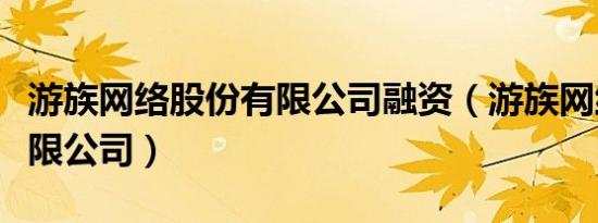 游族网络股份有限公司融资（游族网络股份有限公司）