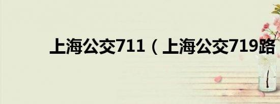 上海公交711（上海公交719路）