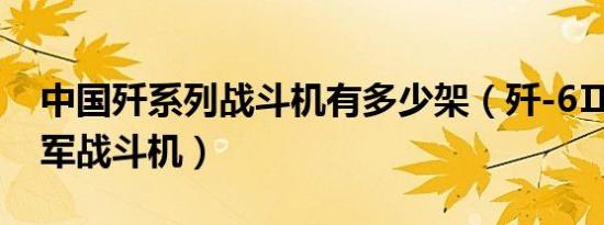 中国歼系列战斗机有多少架（歼-6Ⅱ 中国空军战斗机）