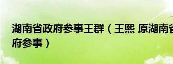 湖南省政府参事王群（王熙 原湖南省人民政府参事）