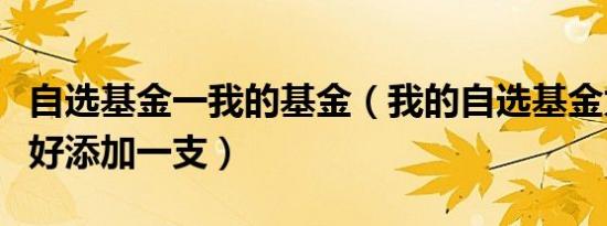 自选基金一我的基金（我的自选基金为什么只好添加一支）