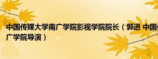 中国传媒大学南广学院影视学院院长（郭进 中国传媒大学南广学院导演）