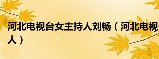 河北电视台女主持人刘畅（河北电视台女主持人）