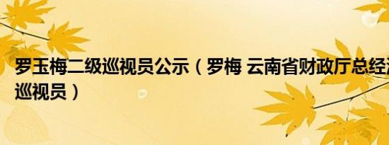 罗玉梅二级巡视员公示（罗梅 云南省财政厅总经济师、二级巡视员）