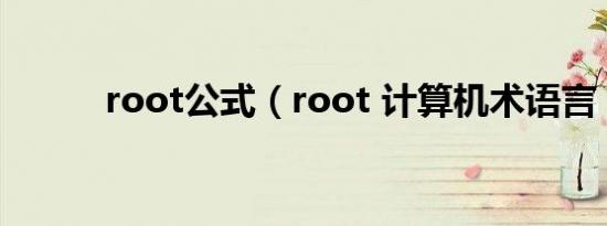 root公式（root 计算机术语言）