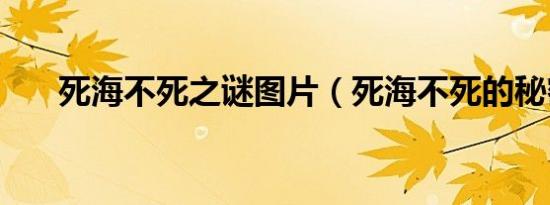 死海不死之谜图片（死海不死的秘密）