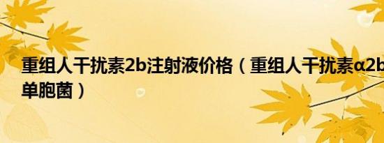 重组人干扰素2b注射液价格（重组人干扰素α2b注射液 假单胞菌）